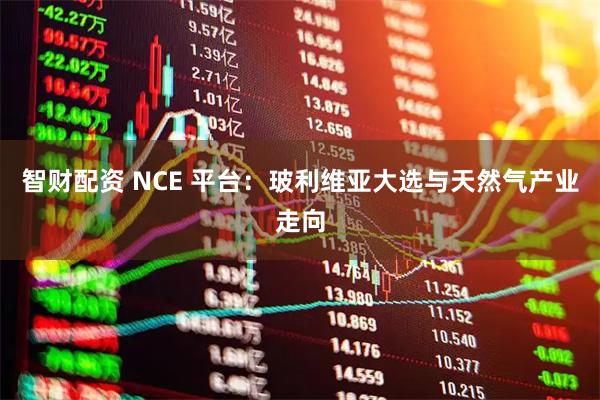 智财配资 NCE 平台：玻利维亚大选与天然气产业走向
