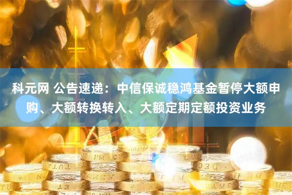 科元网 公告速递：中信保诚稳鸿基金暂停大额申购、大额转换转入、大额定期定额投资业务